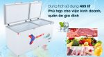 Tủ đông Sanaky 485 lít VH-6699W1 - Ảnh 7