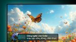 Google Tivi Sony 4K 55 inch K-55S25VM2 - Ảnh 4