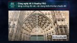 Google Tivi Sony 4K 55 inch K-55S25VM2 - Ảnh 5
