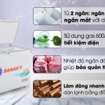 Tủ đông Sanaky 260 lít VH-3699W1
