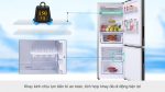 Tủ lạnh Samsung Inverter 280 lít RB27N4010BU/SV - Ảnh 8