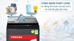 Máy giặt Toshiba 10 kg AW-M1100PV(MK) - Ảnh 3