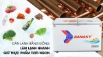 Tủ đông Sanaky 260 lít VH-3699W1 - Ảnh 8